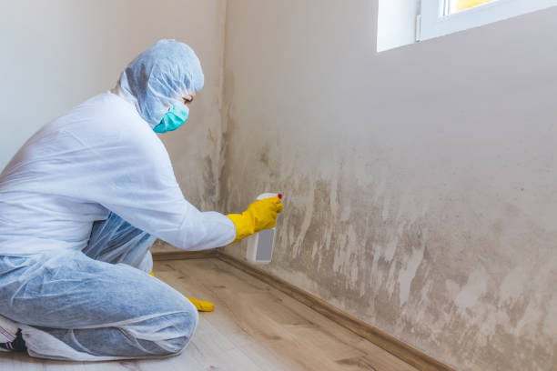 Crawl Space Mold Removal in Holly Springs, NC
