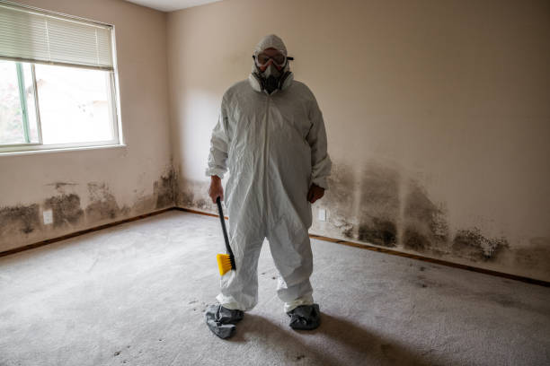 Best Mold Removal Near Me  in Holly Springs, NC